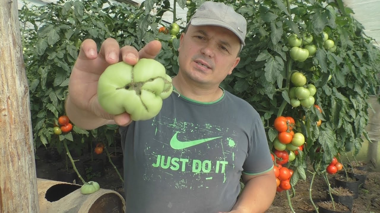 Нажмите, чтобы запустить видео
