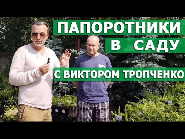 Нажмите, чтобы запустить видео