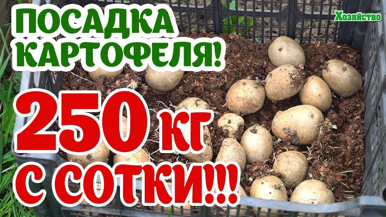 Нажмите, чтобы запустить видео