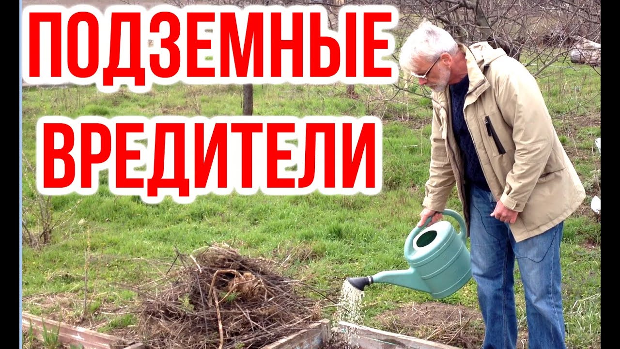 Нажмите, чтобы запустить видео