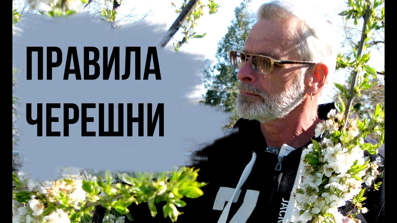 Нажмите, чтобы запустить видео