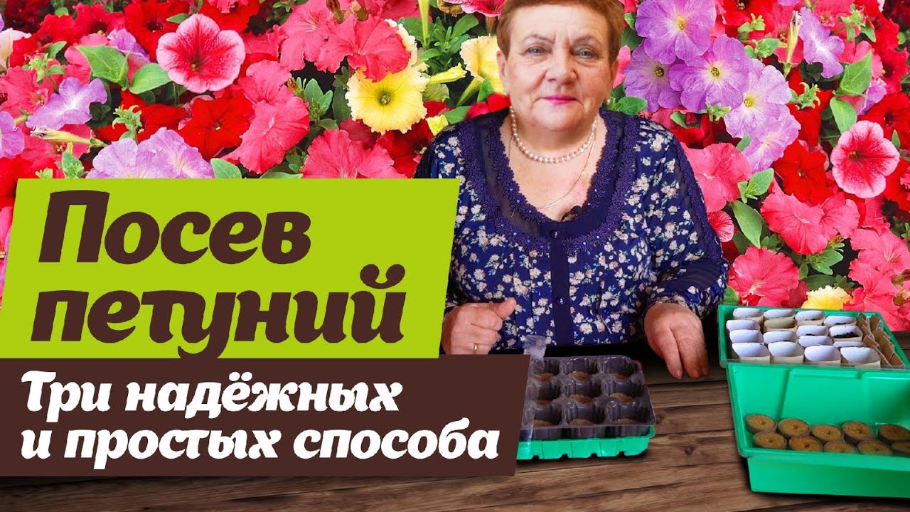 Нажмите, чтобы запустить видео