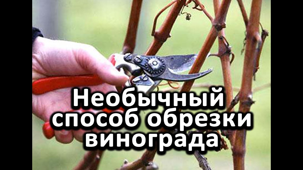 Нажмите, чтобы запустить видео