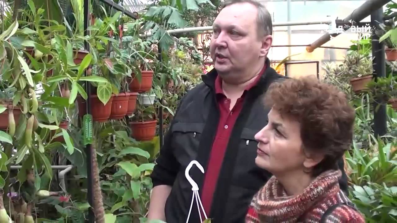 Нажмите, чтобы запустить видео