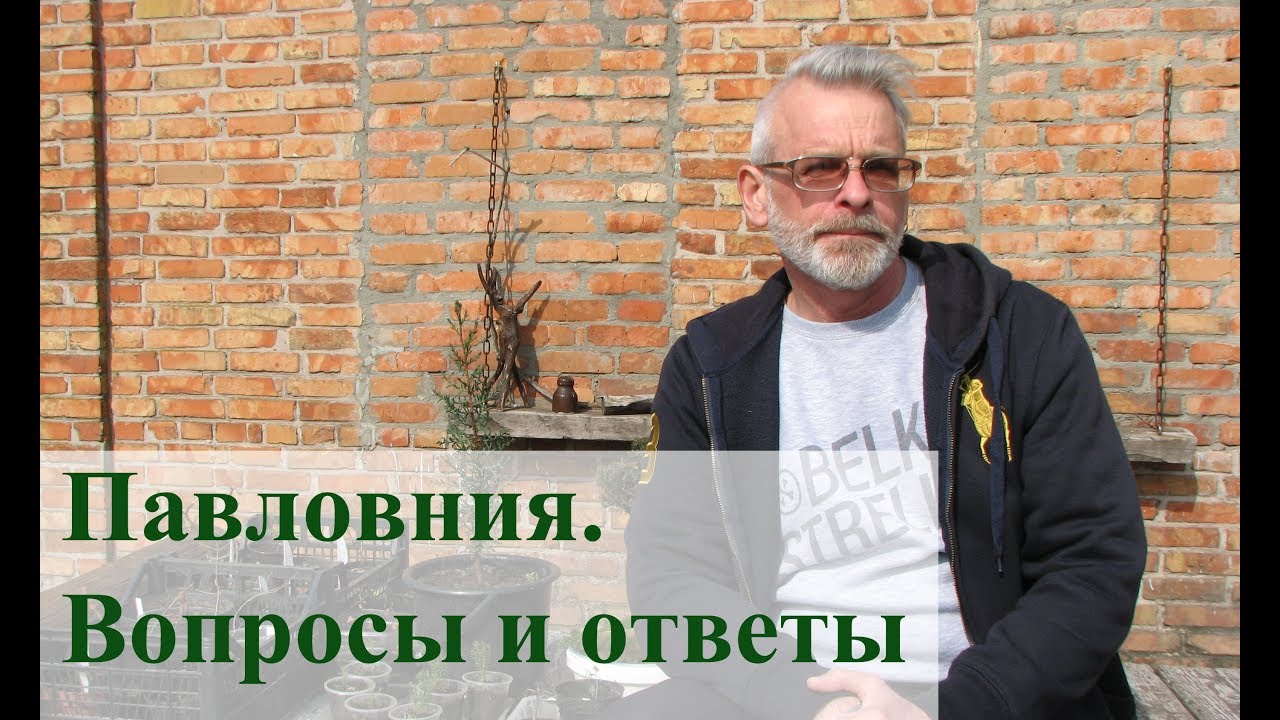 Нажмите, чтобы запустить видео