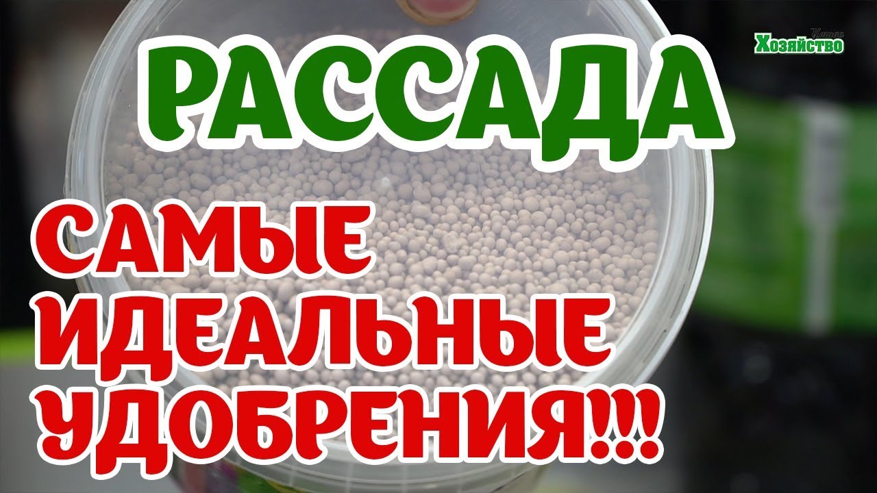 Нажмите, чтобы запустить видео