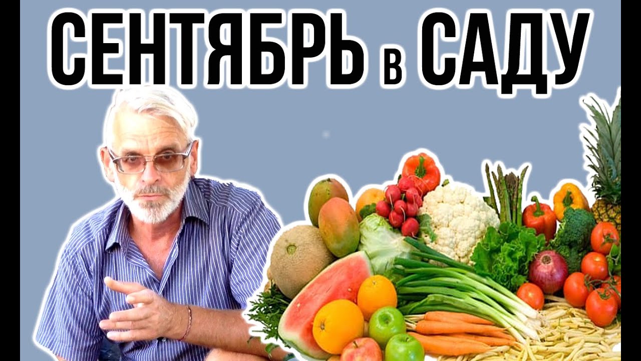 Нажмите, чтобы запустить видео