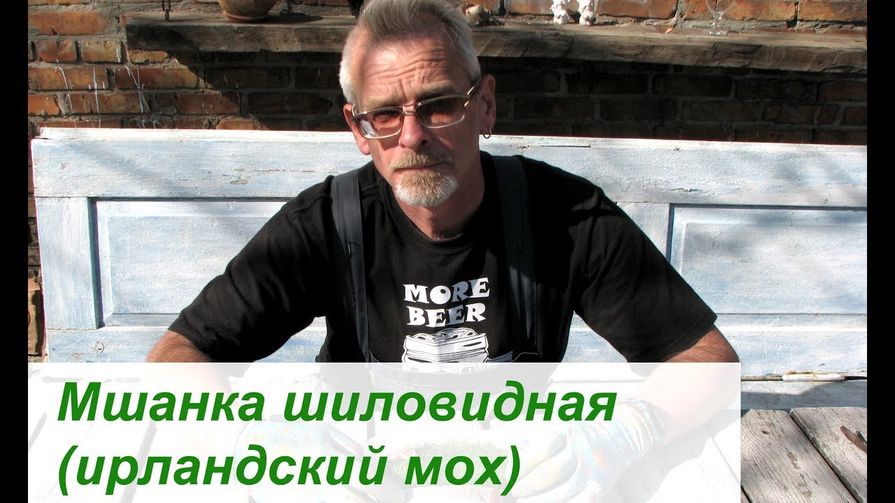 Нажмите, чтобы запустить видео