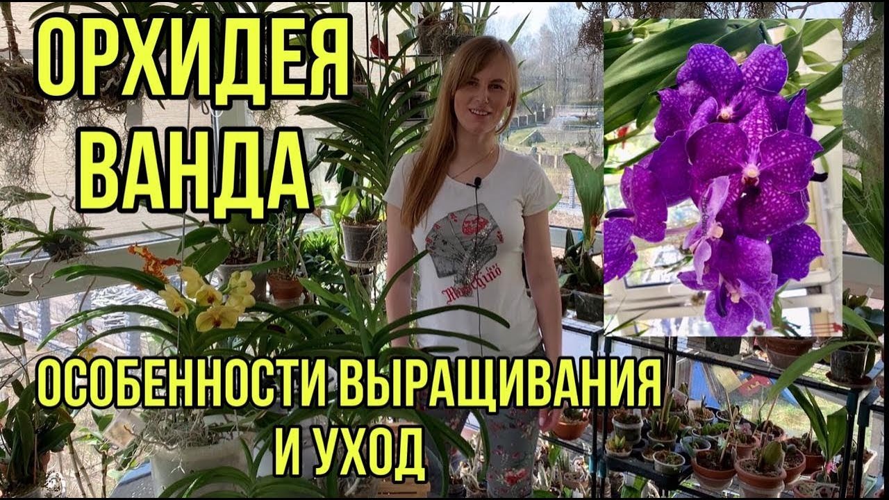 Нажмите, чтобы запустить видео