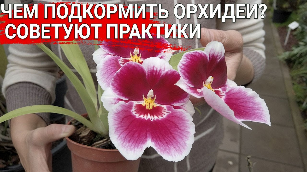 Нажмите, чтобы запустить видео