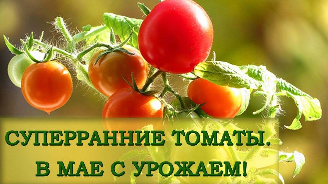 Нажмите, чтобы запустить видео