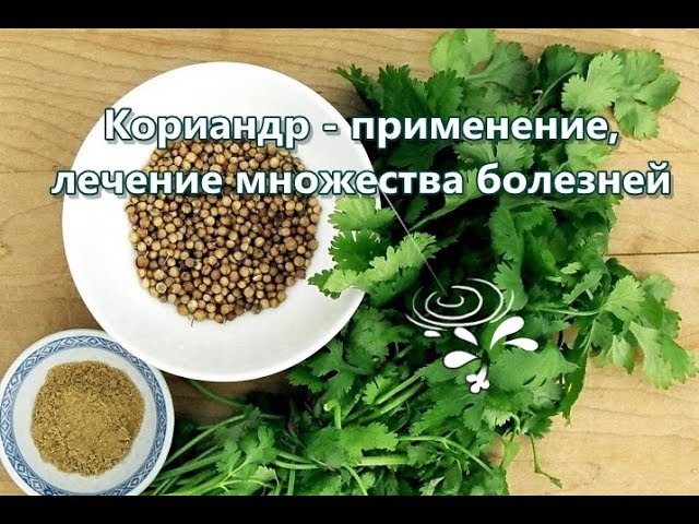 Нажмите, чтобы запустить видео