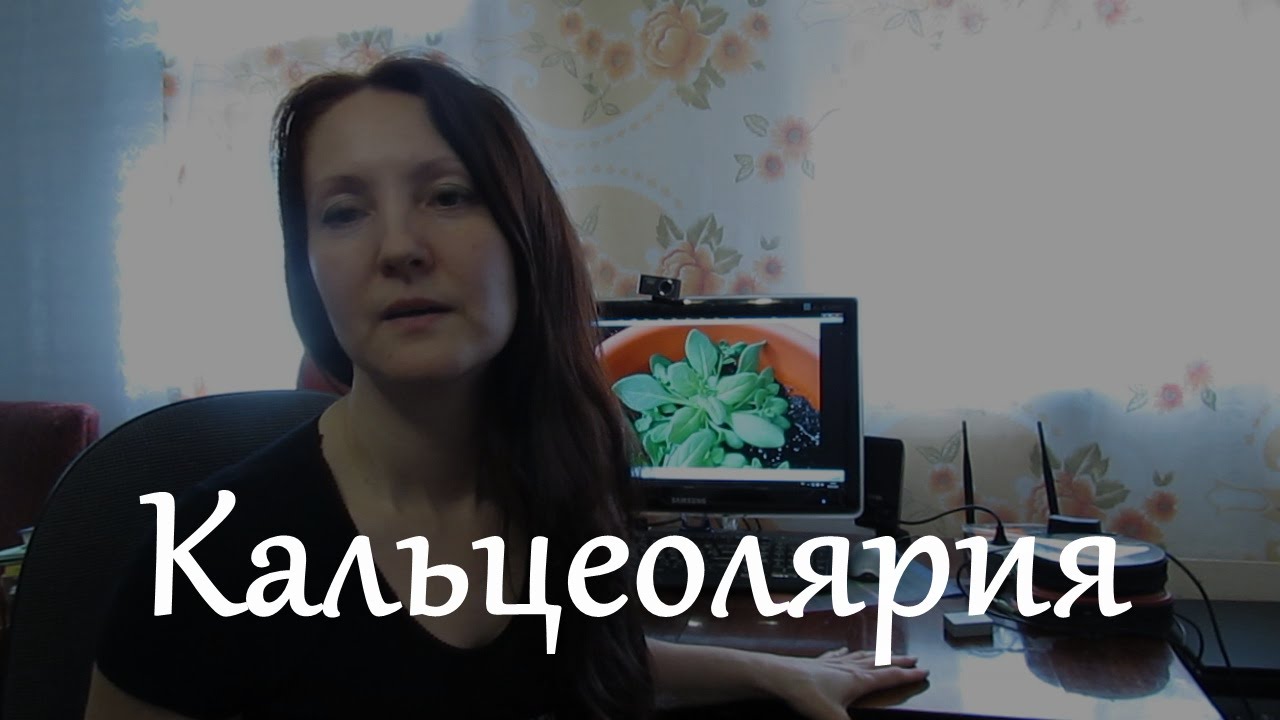 Нажмите, чтобы запустить видео
