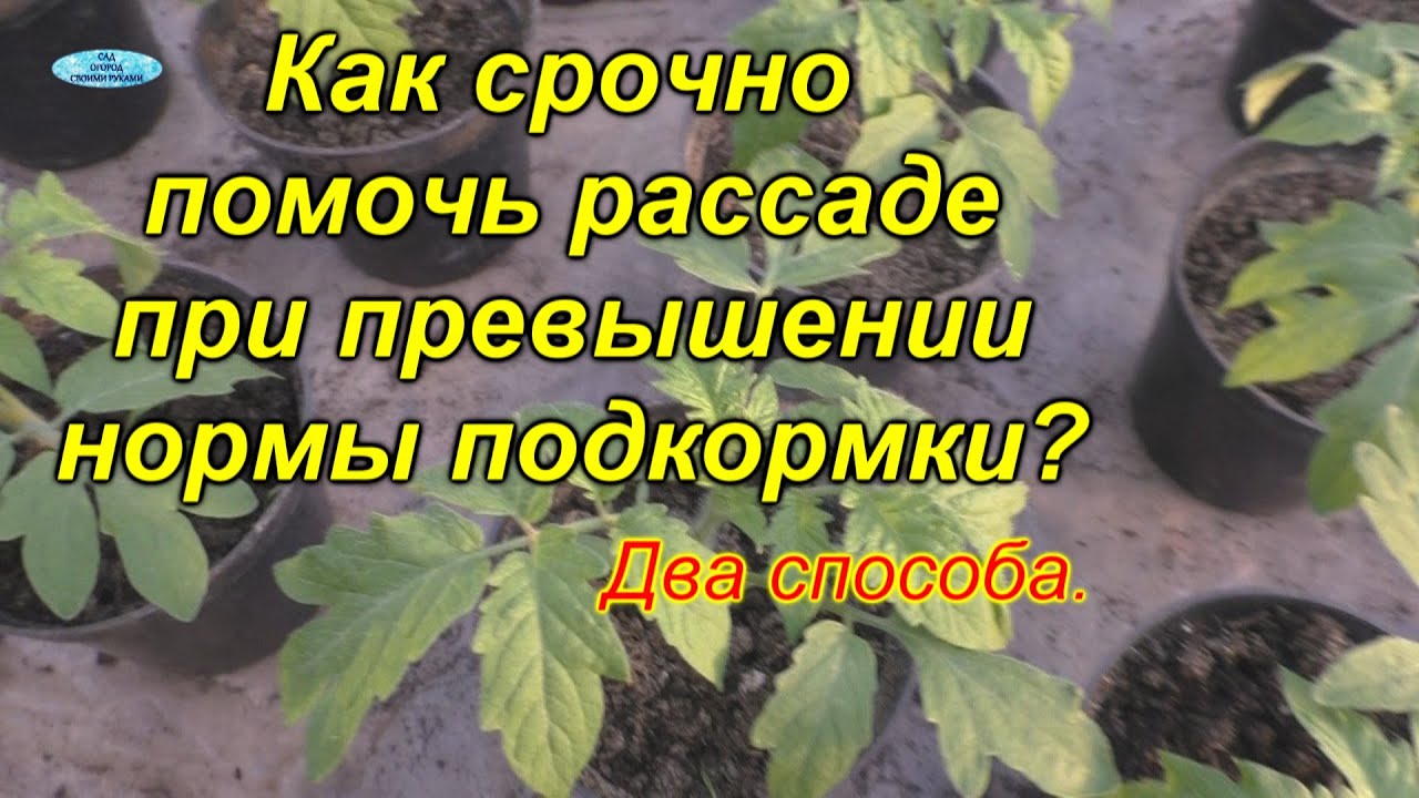 Нажмите, чтобы запустить видео