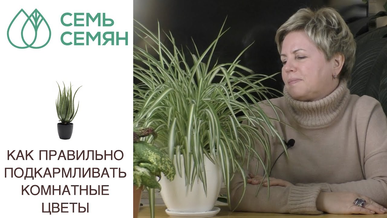 Нажмите, чтобы запустить видео