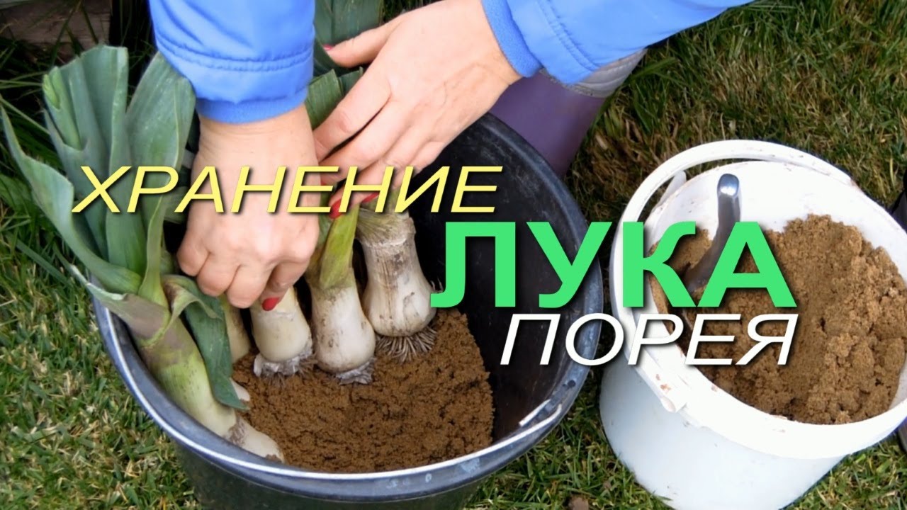 Нажмите, чтобы запустить видео