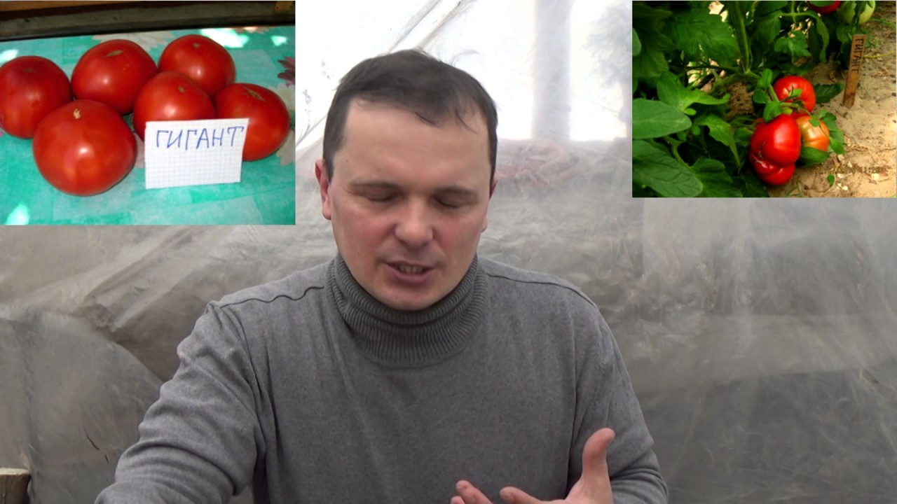 Нажмите, чтобы запустить видео