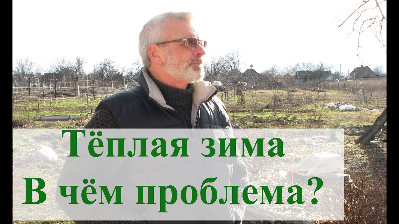Нажмите, чтобы запустить видео