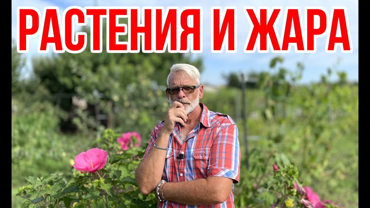 Нажмите, чтобы запустить видео