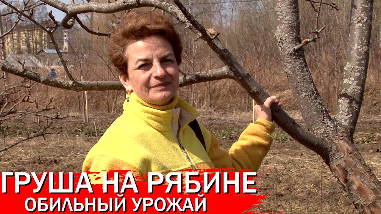 Нажмите, чтобы запустить видео