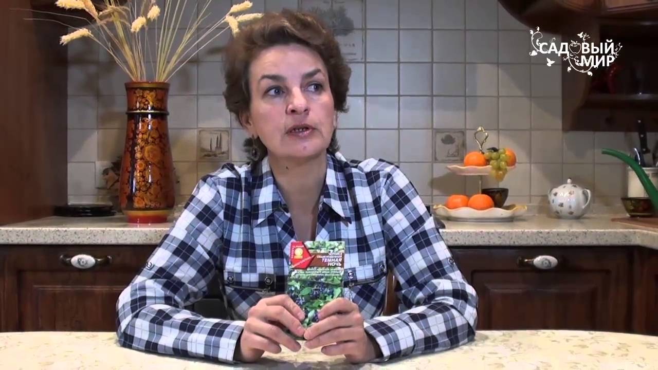 Нажмите, чтобы запустить видео