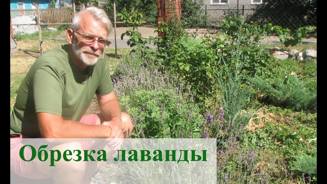 Нажмите, чтобы запустить видео