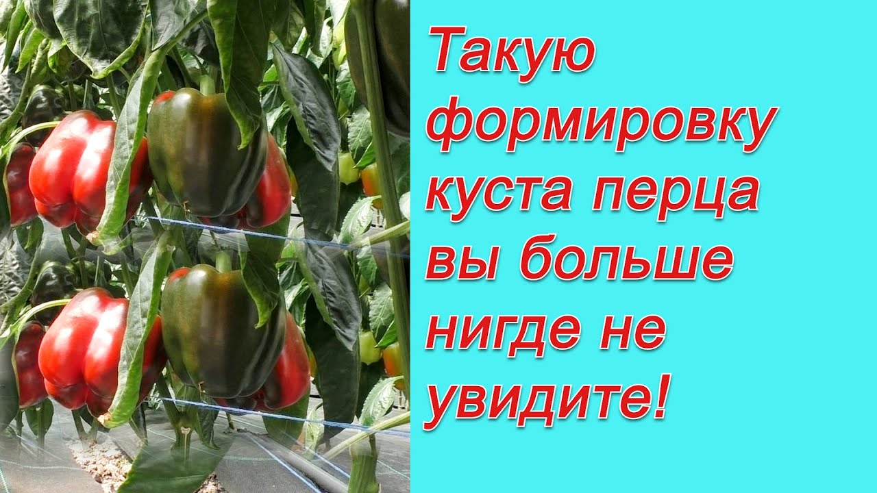 Нажмите, чтобы запустить видео