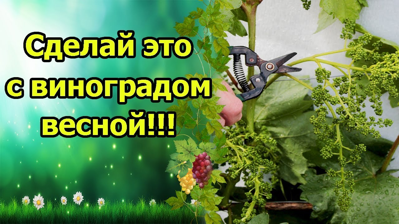 Нажмите, чтобы запустить видео