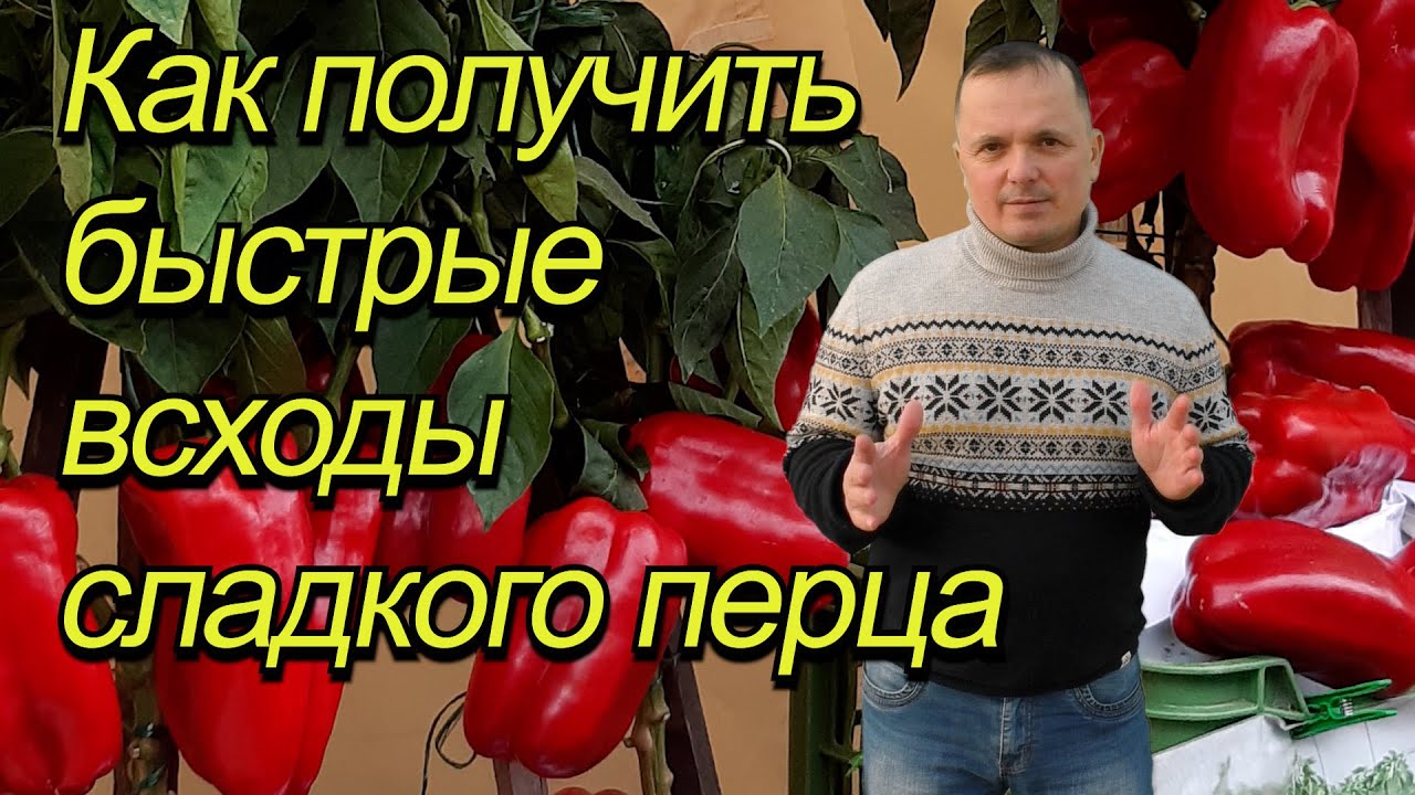 Нажмите, чтобы запустить видео