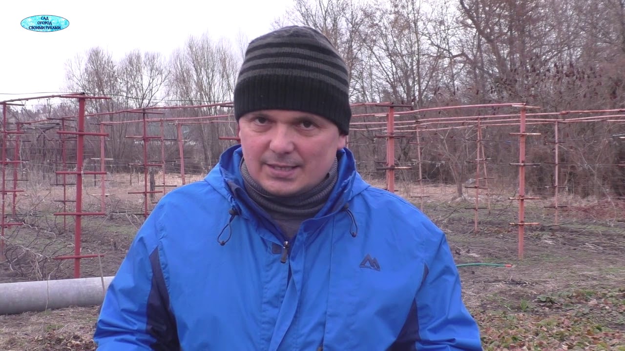 Нажмите, чтобы запустить видео