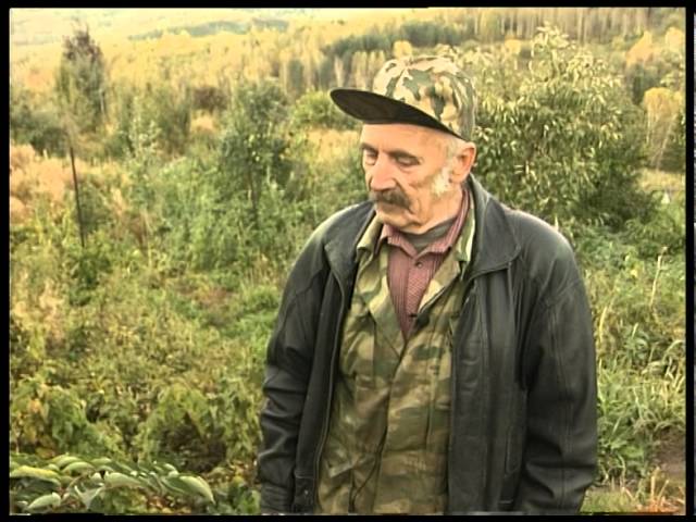 Нажмите, чтобы запустить видео