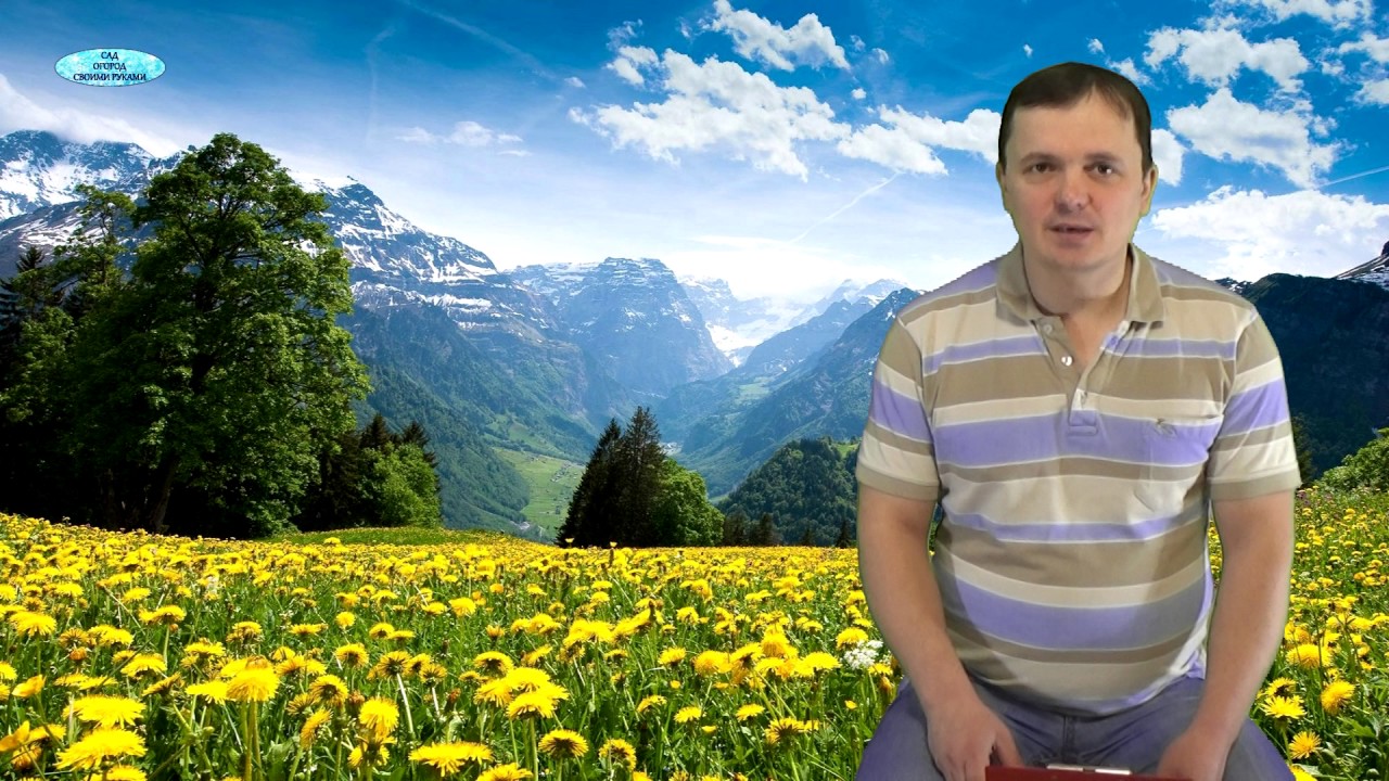 Нажмите, чтобы запустить видео