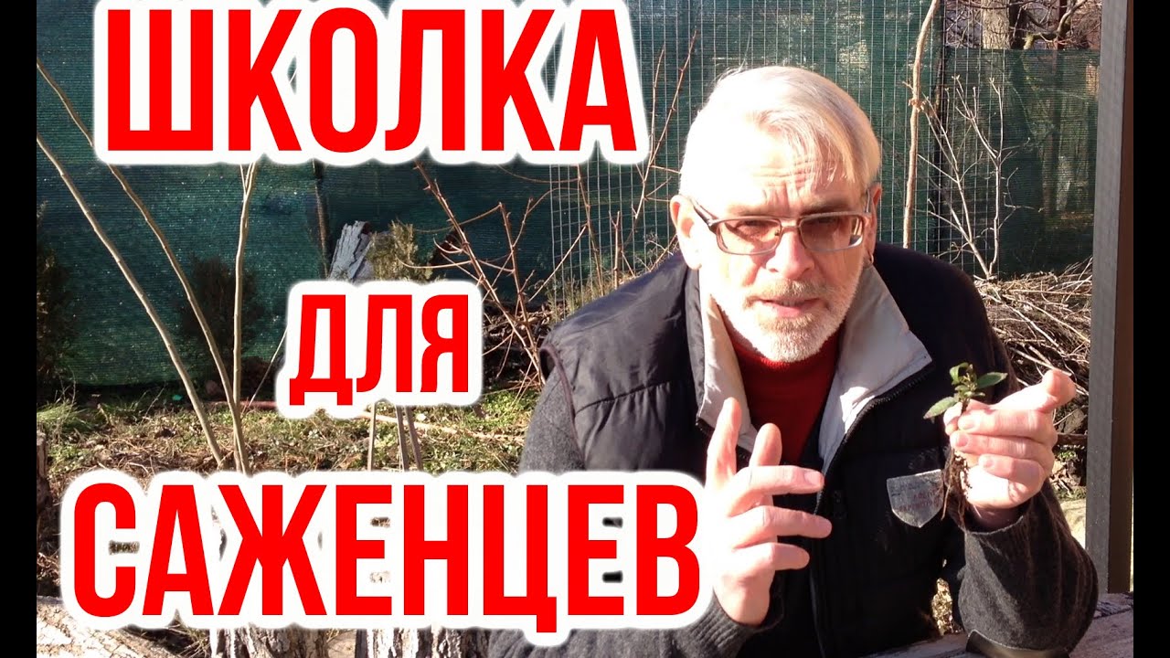 Нажмите, чтобы запустить видео