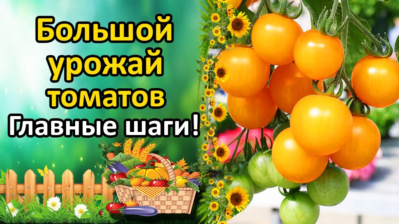 Нажмите, чтобы запустить видео