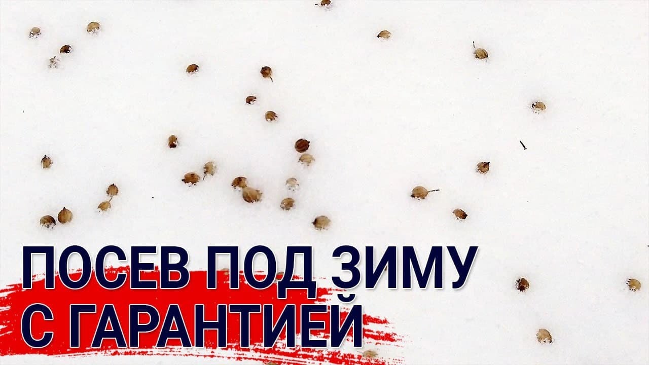 Нажмите, чтобы запустить видео