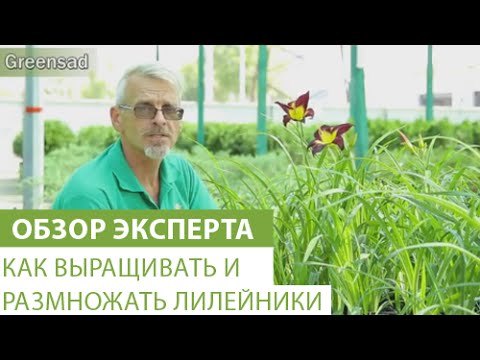 Нажмите, чтобы запустить видео