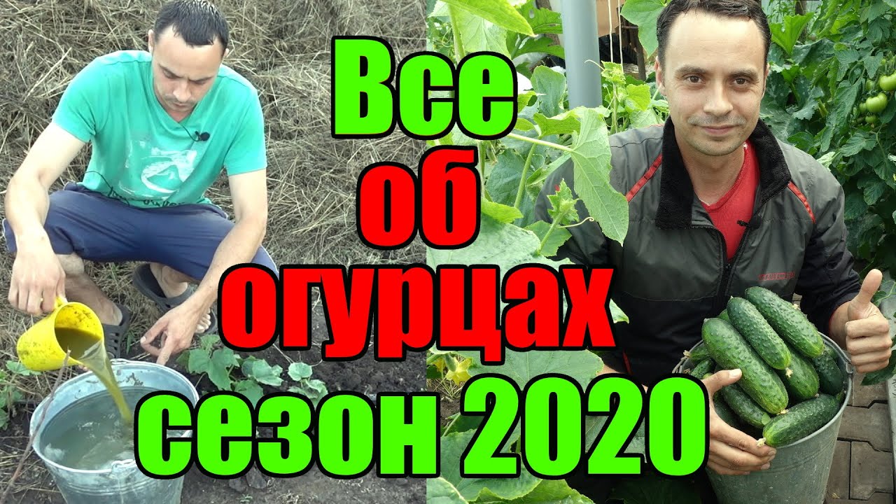 Нажмите, чтобы запустить видео