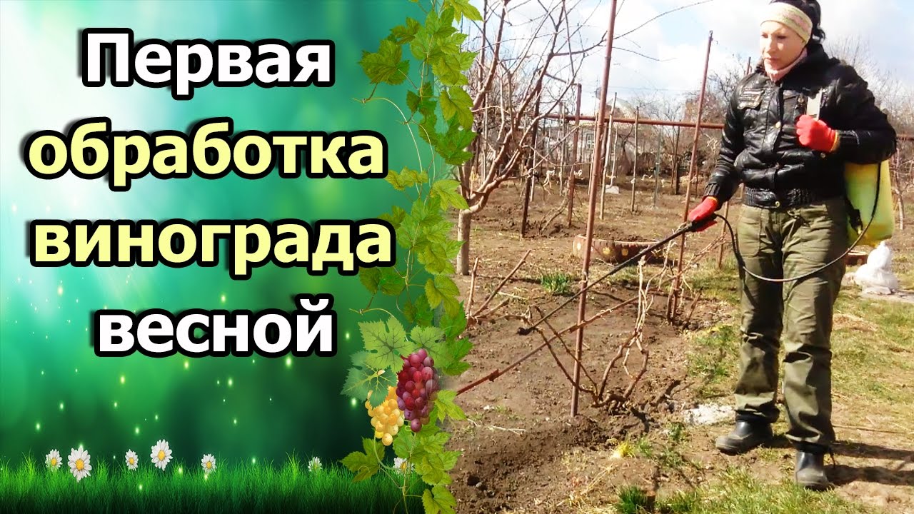 Нажмите, чтобы запустить видео