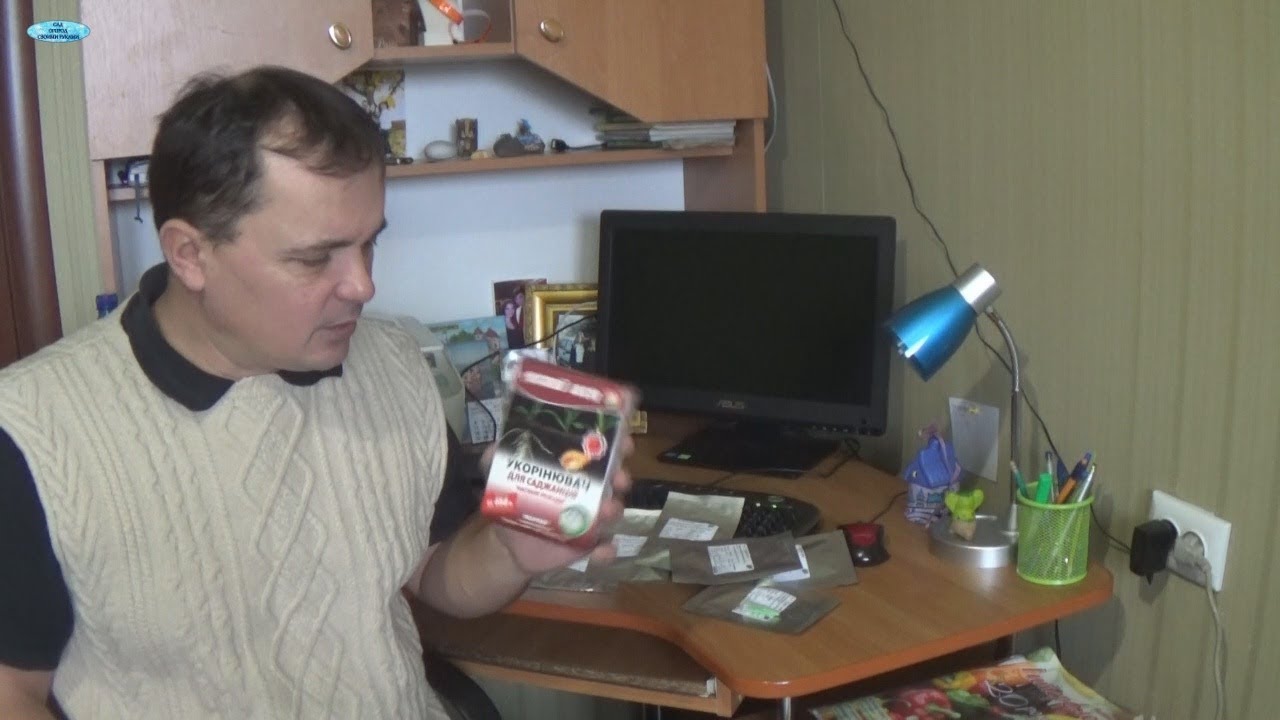 Нажмите, чтобы запустить видео