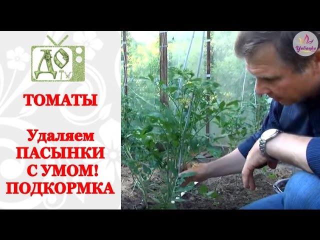Нажмите, чтобы запустить видео