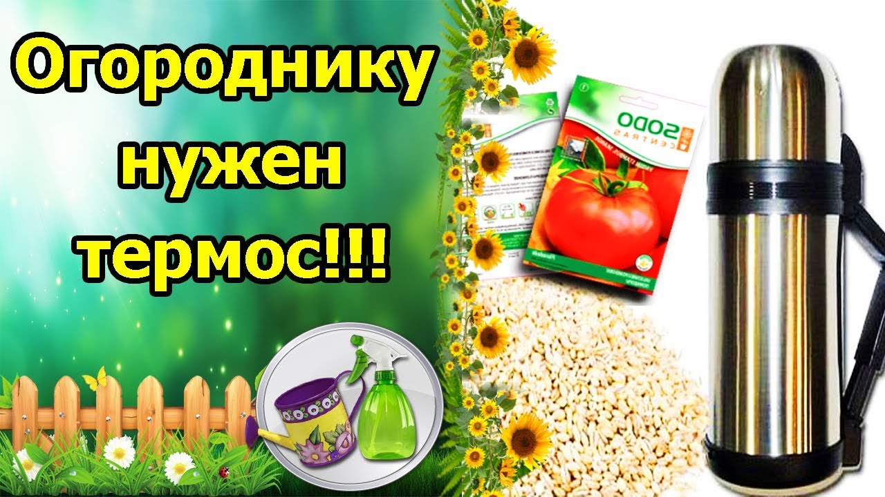 Нажмите, чтобы запустить видео
