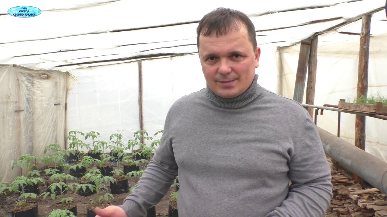 Нажмите, чтобы запустить видео