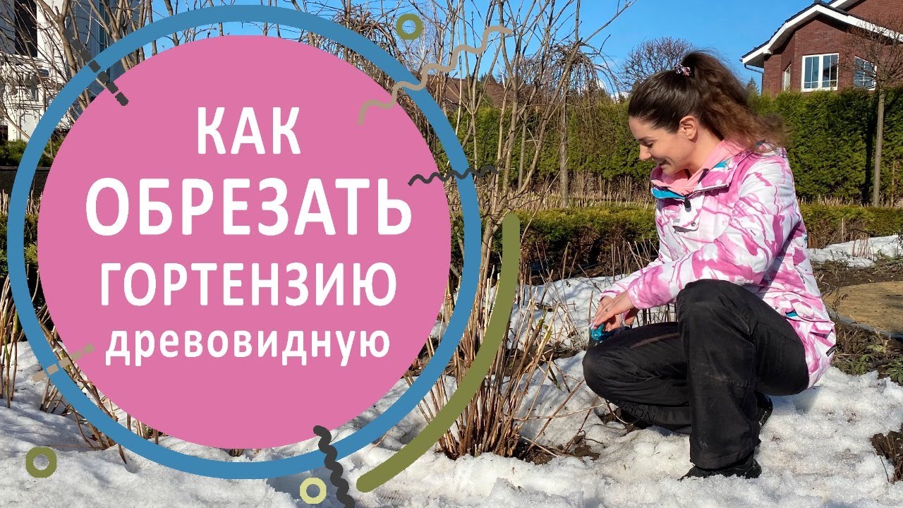 Нажмите, чтобы запустить видео