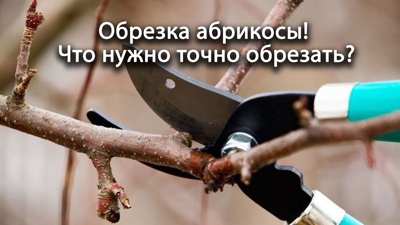 Нажмите, чтобы запустить видео