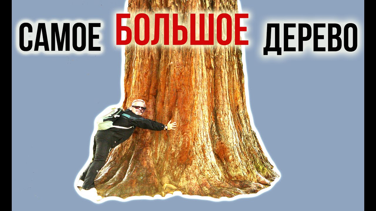 Нажмите, чтобы запустить видео
