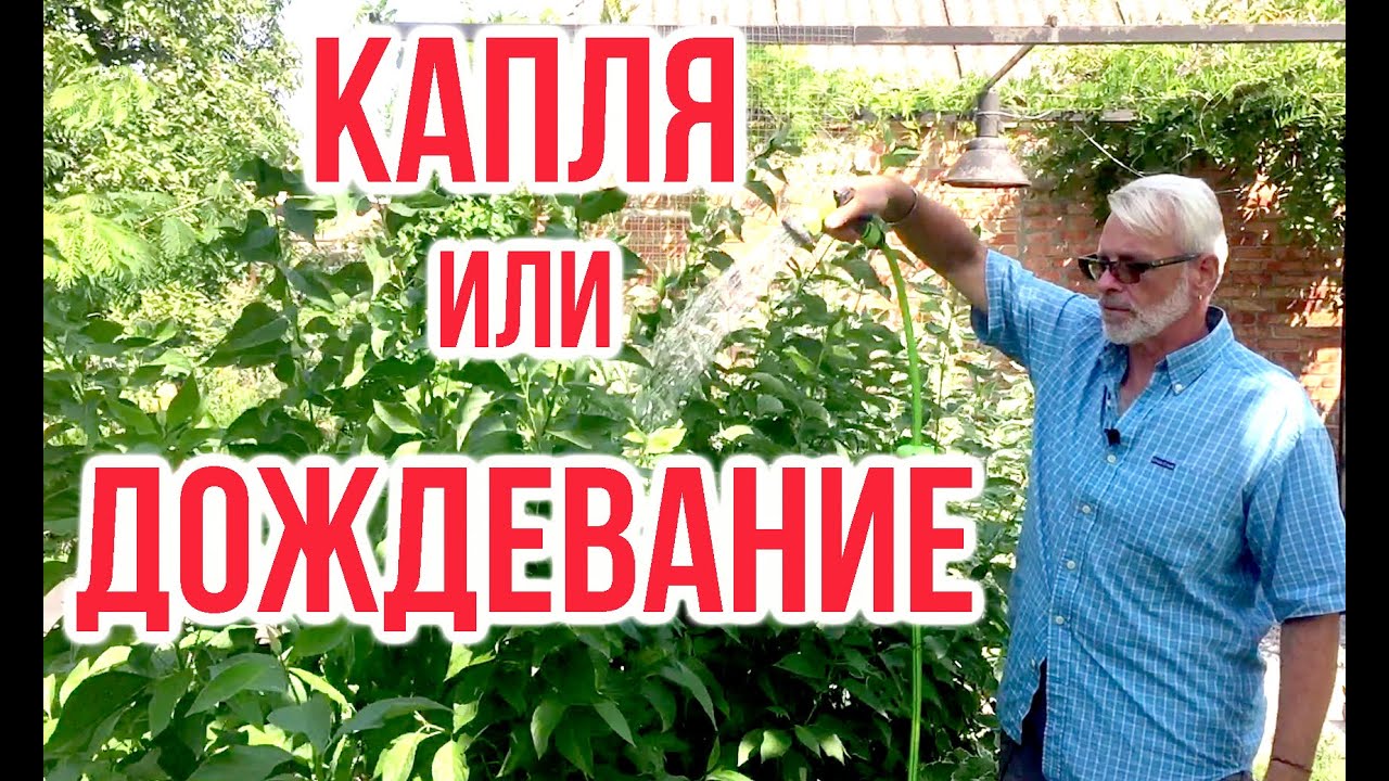 Нажмите, чтобы запустить видео
