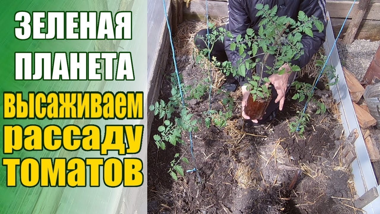 Нажмите, чтобы запустить видео