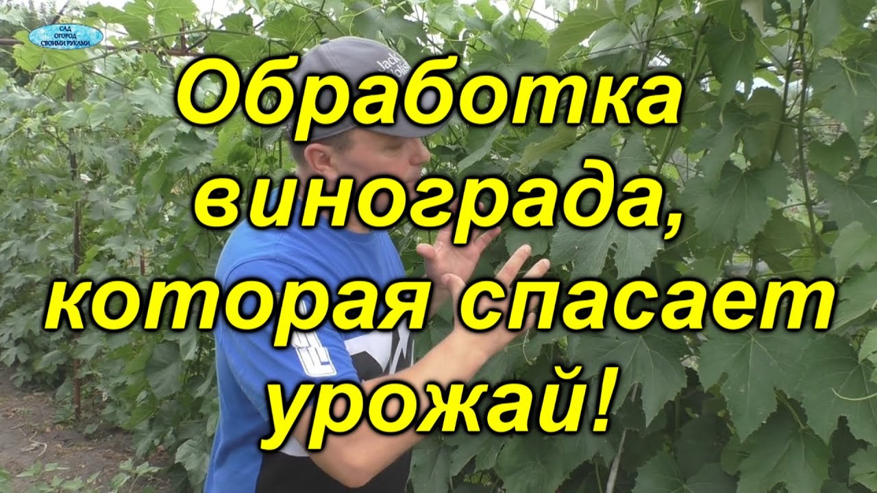Нажмите, чтобы запустить видео