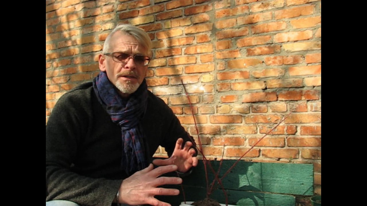 Нажмите, чтобы запустить видео
