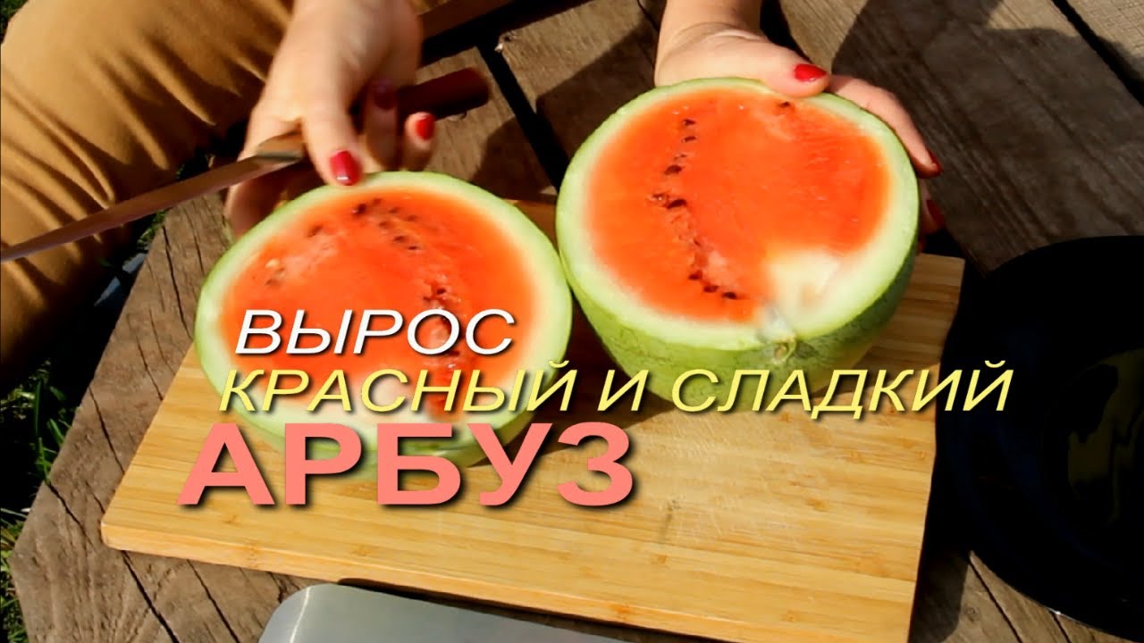 Нажмите, чтобы запустить видео